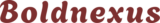 Boldnexus Ventures